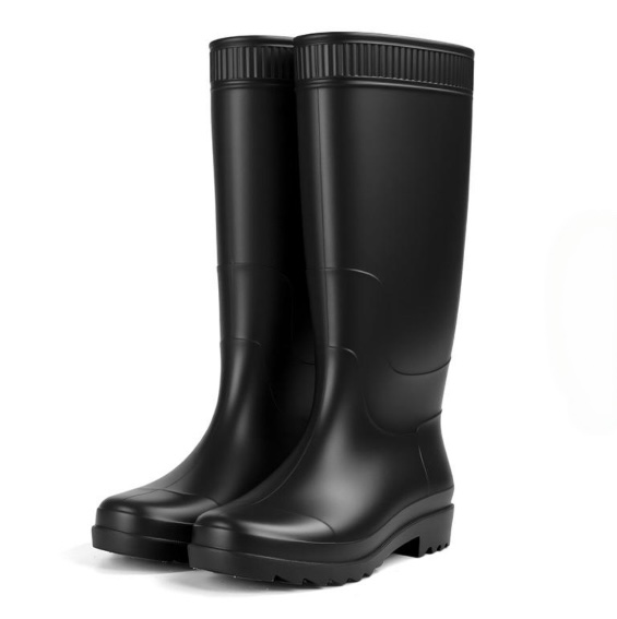 Botas de mòda